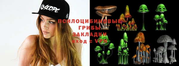дмт Вяземский