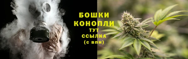 дмт Вяземский